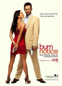 Burn Notice - 1ª Temporada