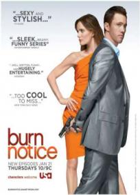 Burn Notice - 2ª Temporada