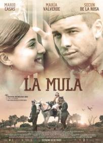 A Mula