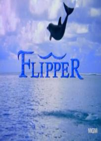 Flipper - As novas aventuras de Flipper