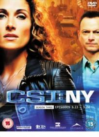 CSI: NY - 3ª Temporada