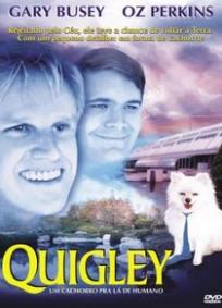 Quigley - Um Cachorro pra lá de Humano