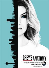 Greys Anatomy - 13a Temporada