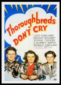 Thoroughbreds Don