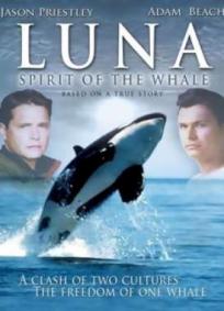 Luna - O Espírito da Baleia