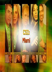 CSI: Miami - 6ª Temporada