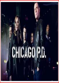 Chicago PD - 2ª temporada