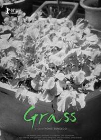 Grass