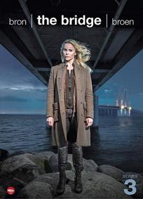 A Ponte (Temporada 4)