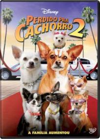 Perdido Pra Cachorro 2