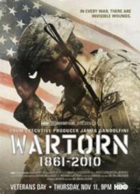 Wartorn 1861-2010