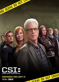 CSI - Las Vegas - 15º Temporada (2014)