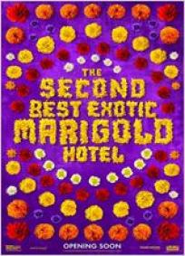 O Exótico Hotel Marigold 2