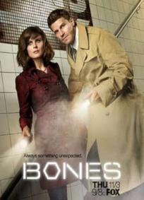 Bones - 7ª Temporada