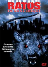 Ratos em Nova Iorque