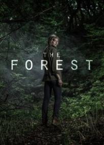 O Bosque (2017)