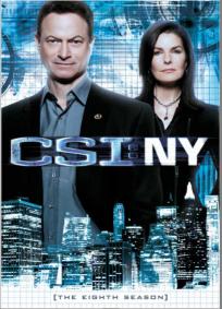 CSI: NY - 8ª Temporada