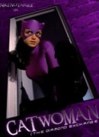 Catwoman - The Diamond Exchange