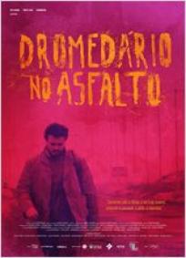 Dromedário no Asfalto
