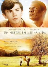 Um Mestre em Minha Vida