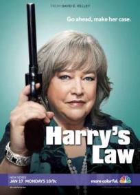 Harry´s Law - 2ª Temporada