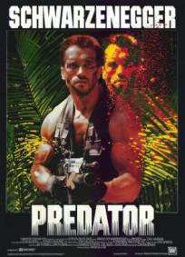 Predador