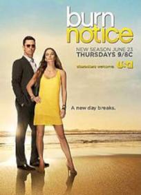 Burn Notice - 5ª Temporada
