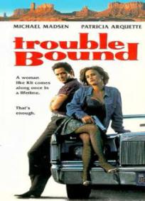 Arriscando Tudo (1993)