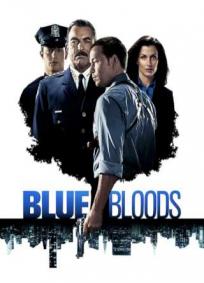 Blue Bloods - 1ª Temporada