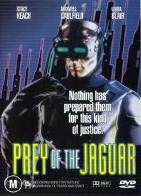 A Perseguição do Jaguar