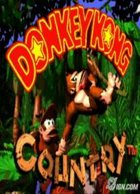 Donkey Kong Country