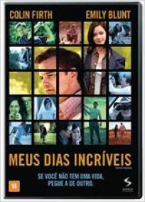 Meus Dias Incríveis