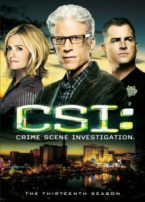 CSI - Las Vegas - 14º Temporada (2013)