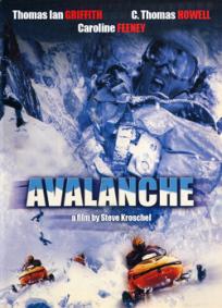 Avalanche - Inferno no Alasca
