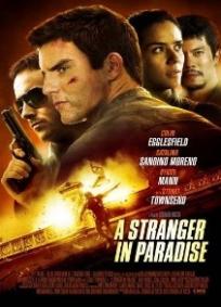 A Stranger in Paradise
