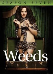 Weeds - 7ª Temporada