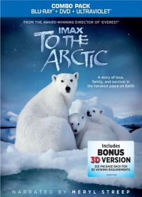 To the Arctic 3D