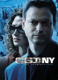 CSI: NY - 5ª Temporada