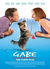 Gabe - The Cupid Dog