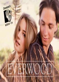 Everwood - 2ª Temporada
