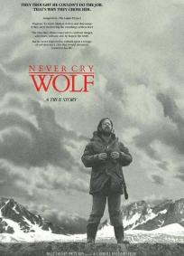 Os Lobos Nunca Choram