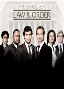 Lei e Ordem - 20ª Temporada