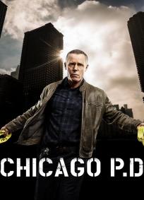 Chicago PD - 5ª Temporada