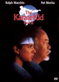 Karatê Kid 2 - A Hora da Verdade Continua