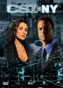 CSI: NY - 6ª Temporada
