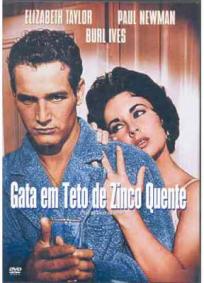 Gata em Teto de Zinco Quente