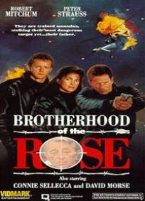 A Irmandade da Rosa