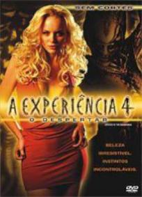 A Experiência 4 - O Despertar
