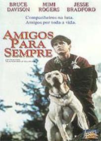 Amigos Para Sempre