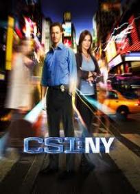 CSI: NY - 4ª Temporada